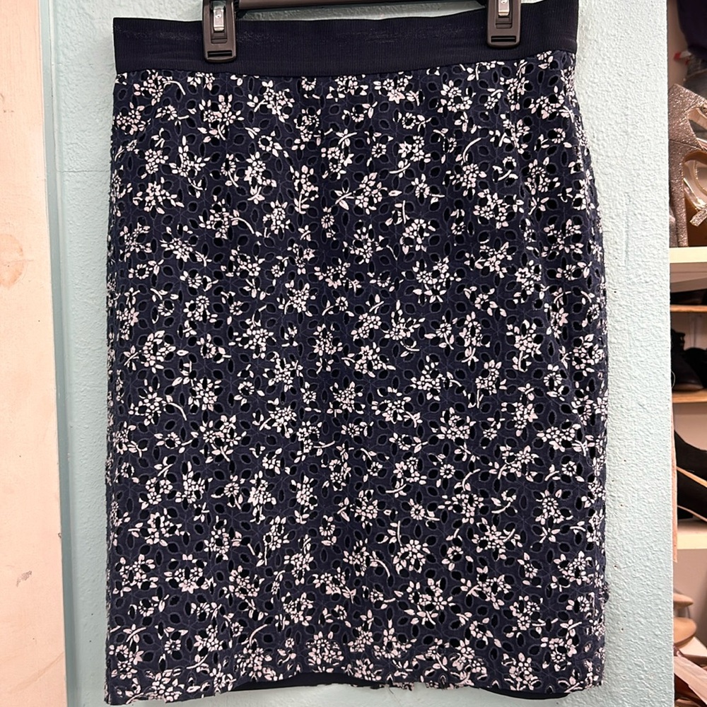 Ann Taylor Skirt